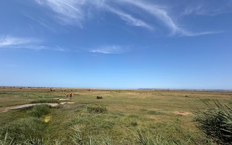 View from Pitch 16 Deck